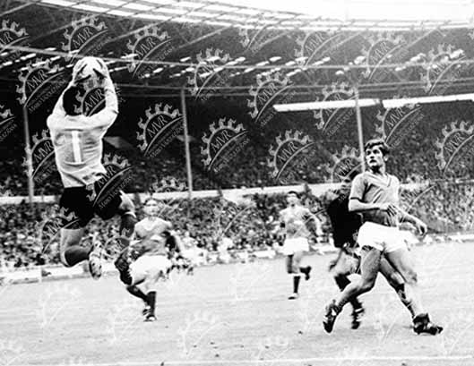 Inglaterra 1966 - Parada de Gol